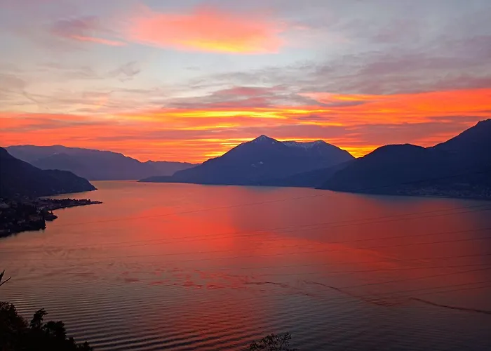 Csm Deluxe בלאנו