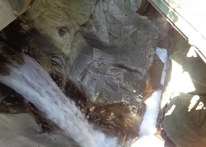 Csm Deluxe * בלאנו