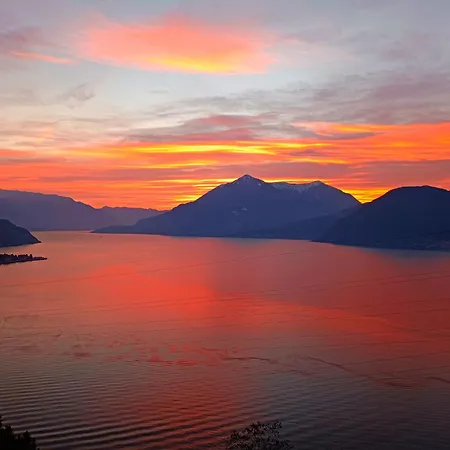 Csm Deluxe 벨라노